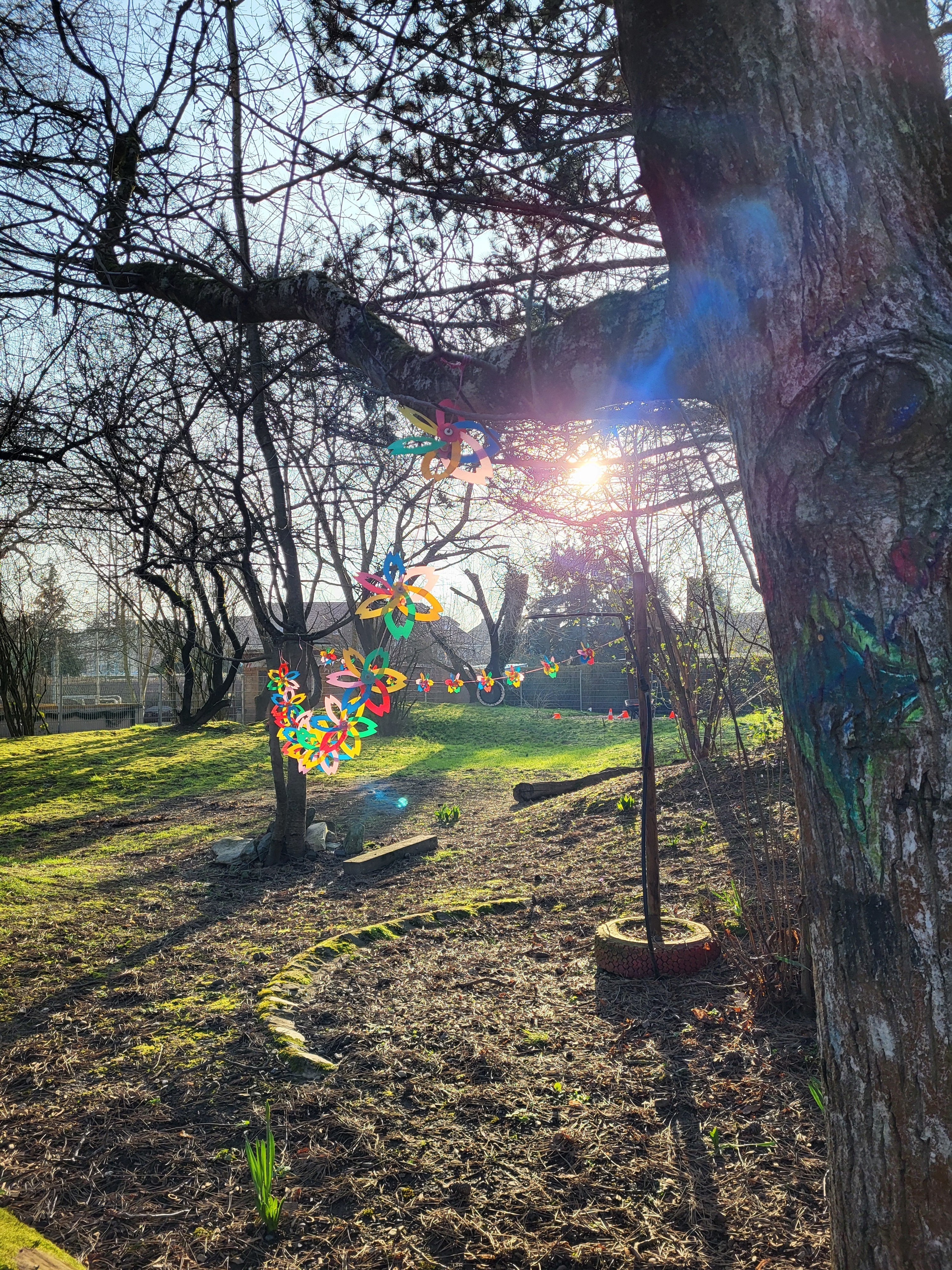 Im Vordergrund sieht man einen Baumstamm. An dem Baum hängt eine bunte Girlande. Dahinter sieht man eine grüne Wiese und Bäume.