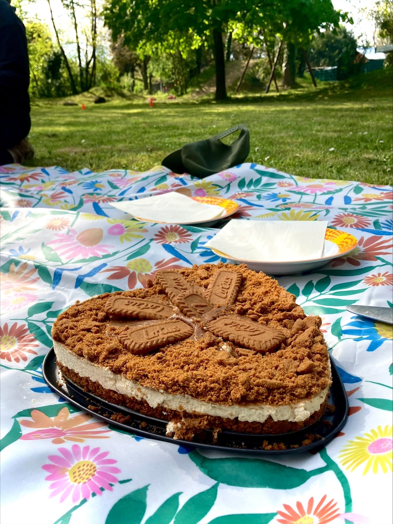 Auf einer grünen Wiese liegt eine Tischdecke mit bunten Blumen. In der Mitte steht ein Kuchen in Herzform. Daneben liegen Teller mit Servietten.